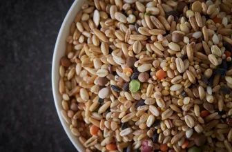 How Multigrain Flour is Better than Wheat? Should You Make the Switch?