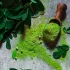 Want to Cure Your Diabetes with Moringa? Train Your Body Naturally